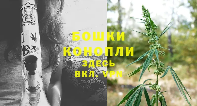 даркнет сайт  Котлас  блэк спрут ТОР  Марихуана LSD WEED 